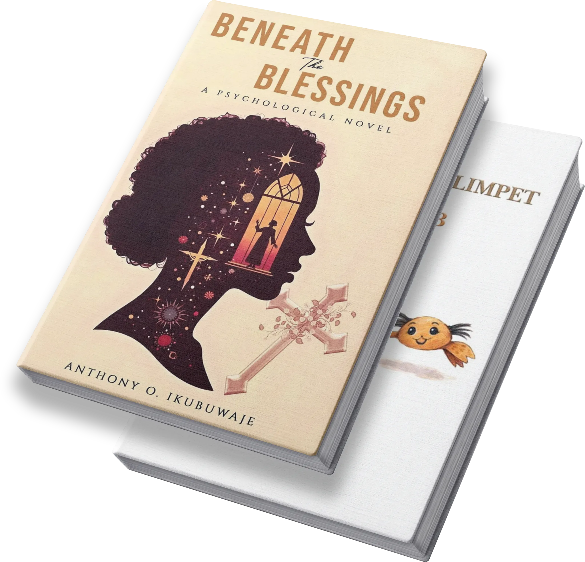 What a professional book cover actually does